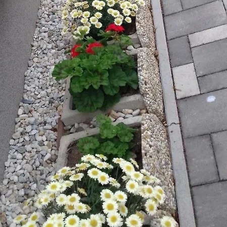 In Im Parterre Mit Garten