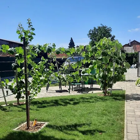 In Im Parterre Mit Garten Apartmán Bük