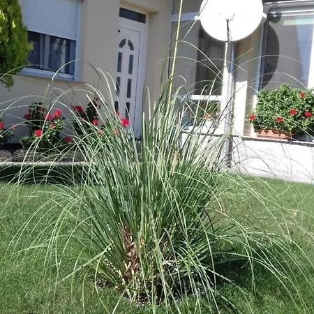 In Im Parterre Mit Garten Apartmán Bük