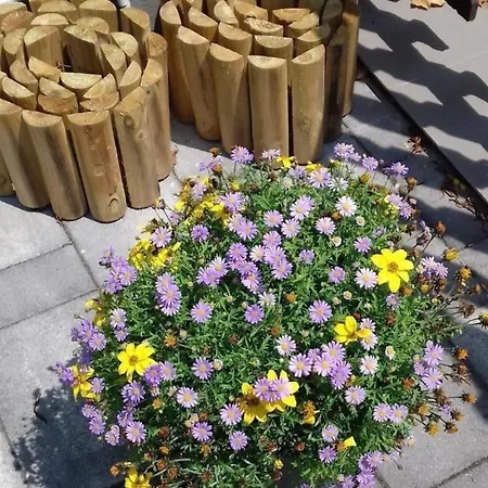 Apartmán In Im Parterre Mit Garten Bük